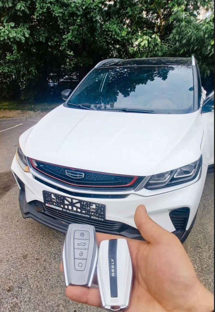 Изготовление ключей на китайские авто вскрытие авто ремонт замков иммо