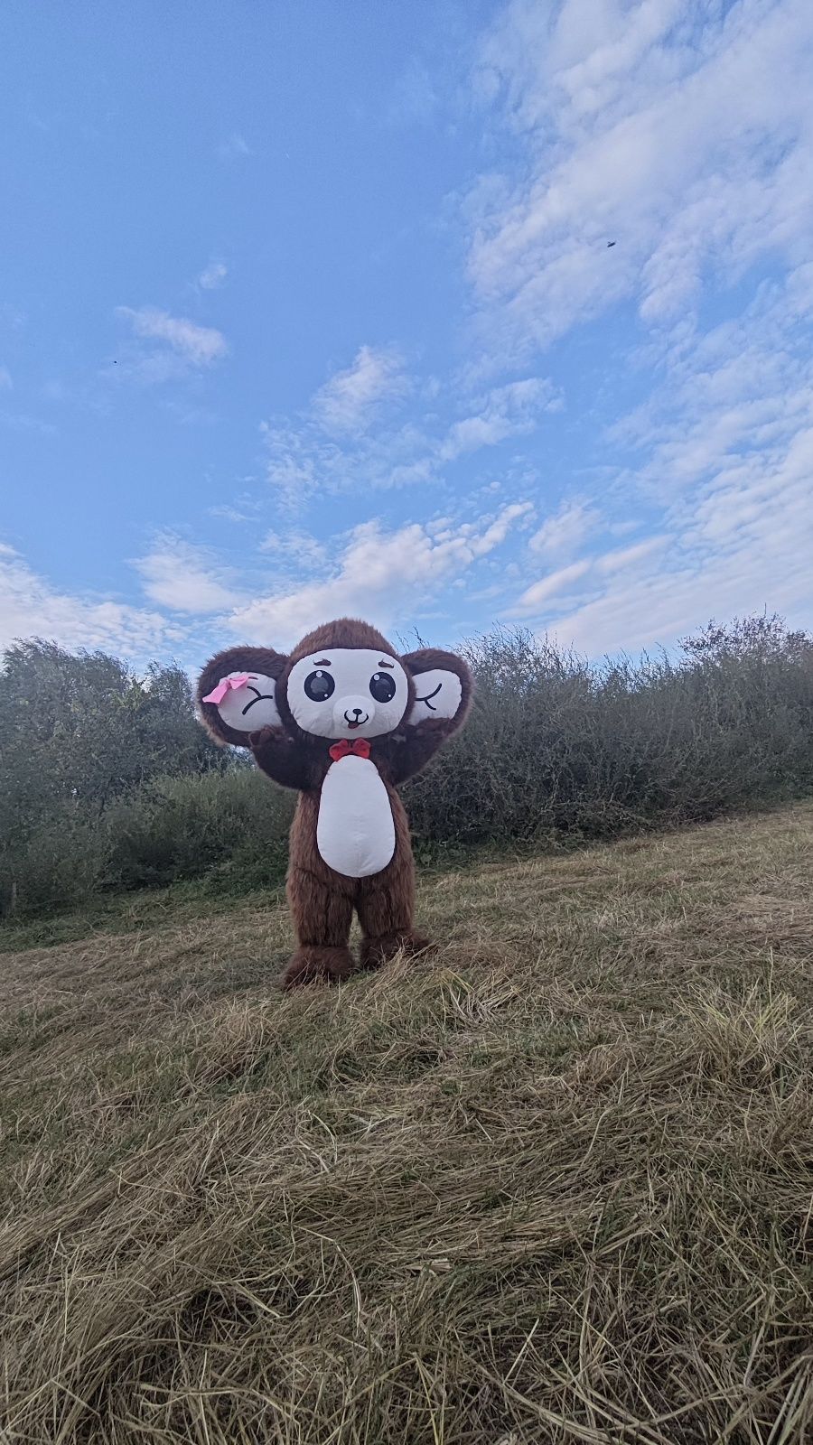 Срочно продам ростовые куклы