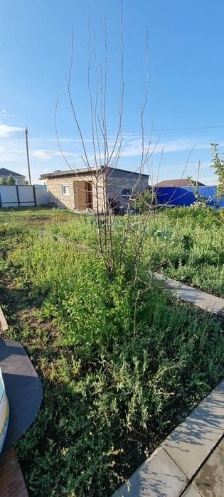 Продам земельный участок
