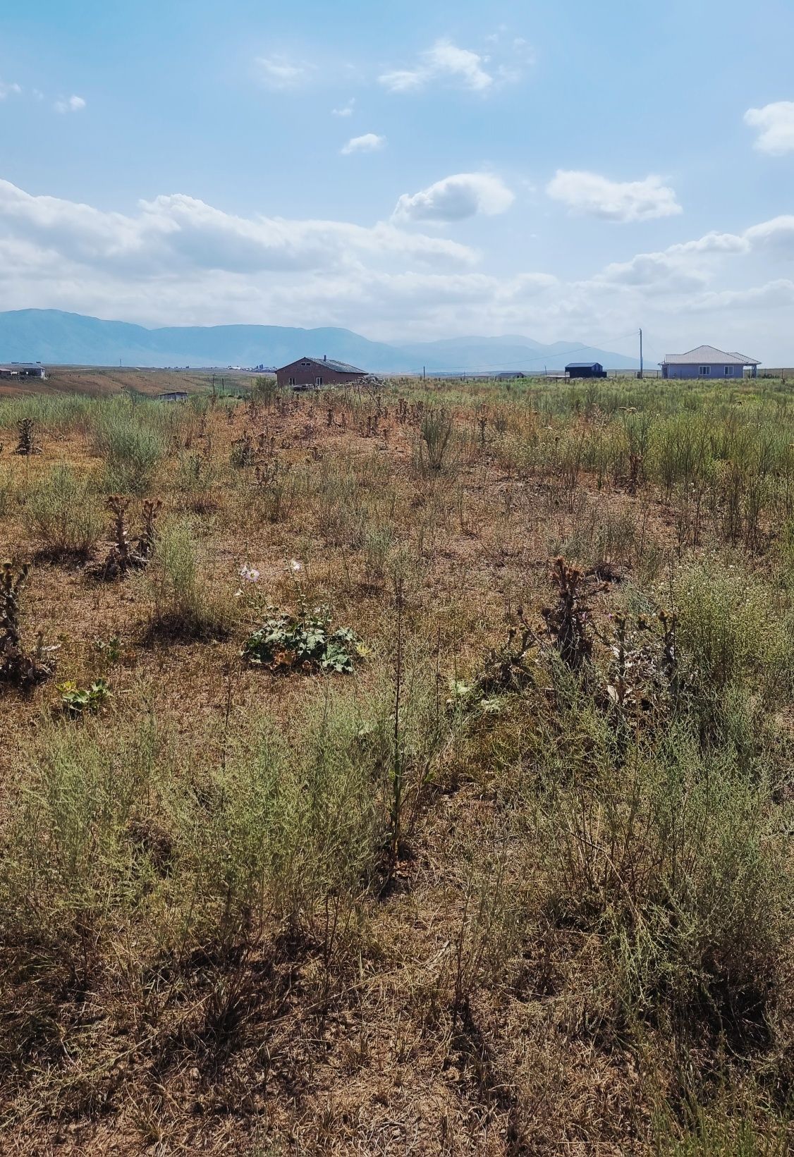 с. Батан, Карасайский р-он новостройка