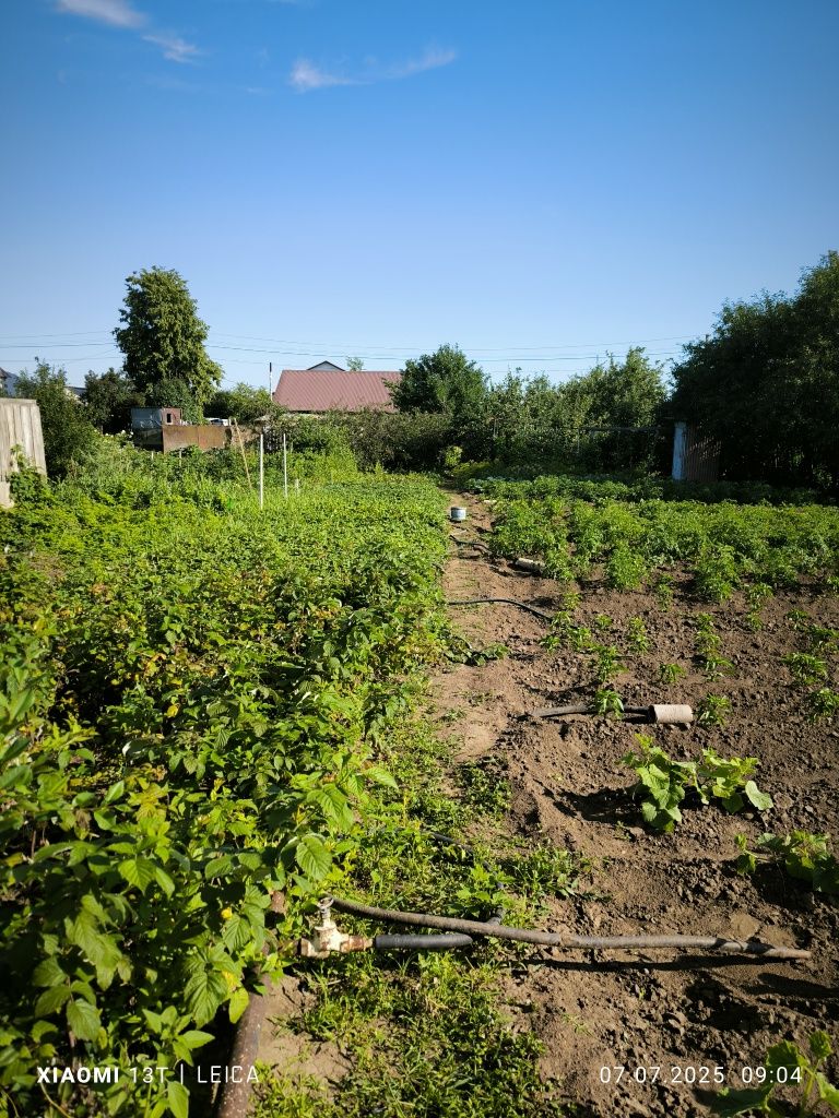 Дача 9,5 соток с домиком и садом, ост. Белая, Казарма