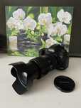 Canon 5D mark 3 III Canon ef 24-105 mm II