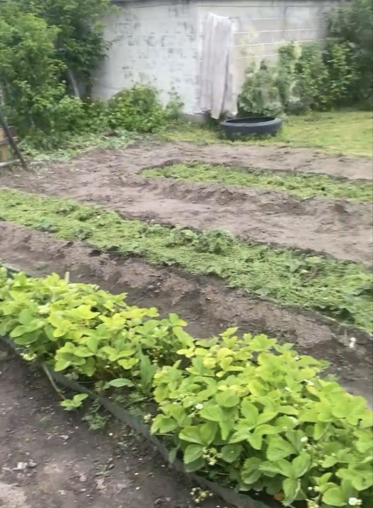 Срочно продам  дачу в районе между Аэропортом и опытным полем!