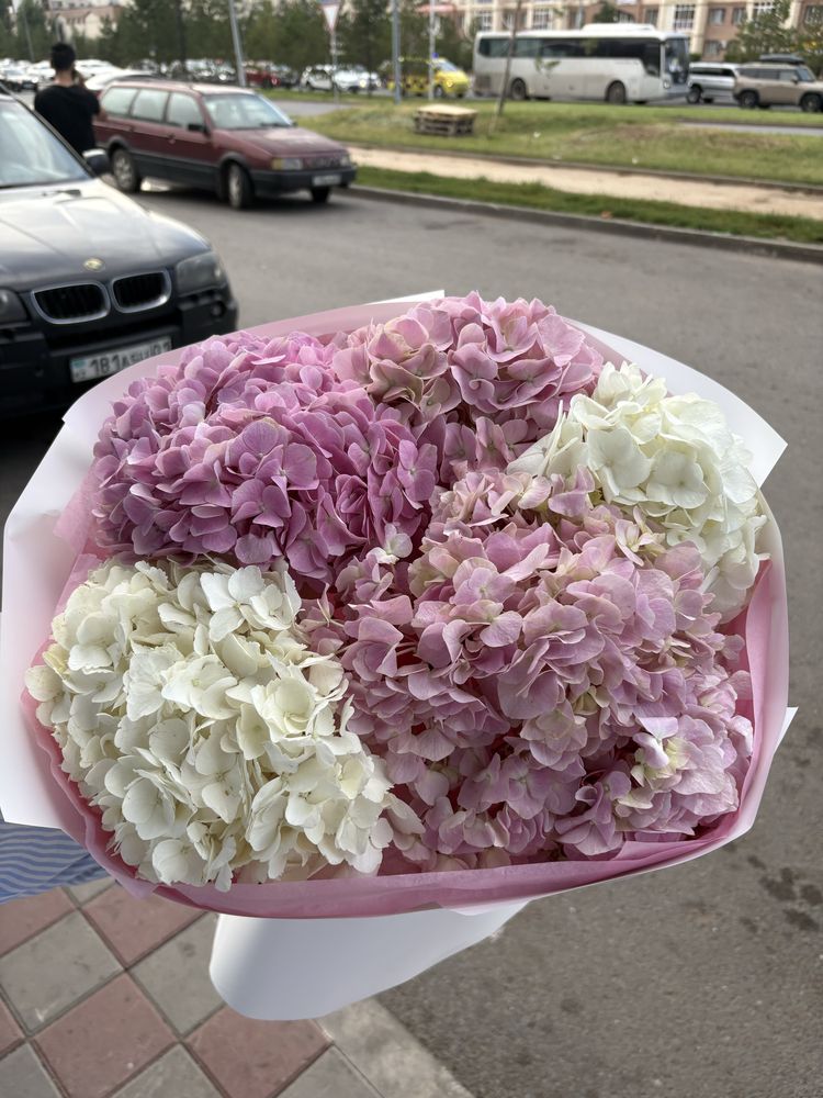 Продам обьемный букет из гортензии