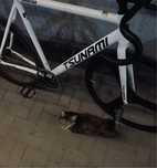 Fixed gear tsunami snm100