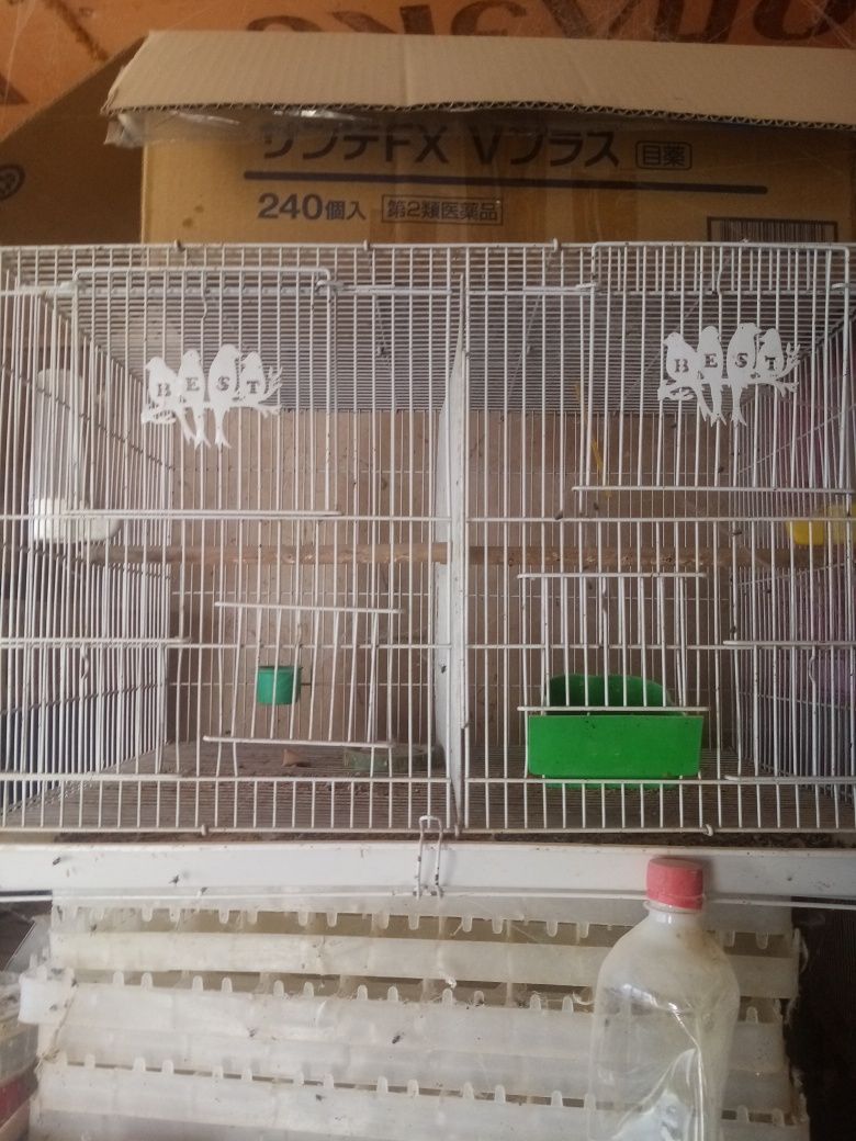 Клетки для птиц