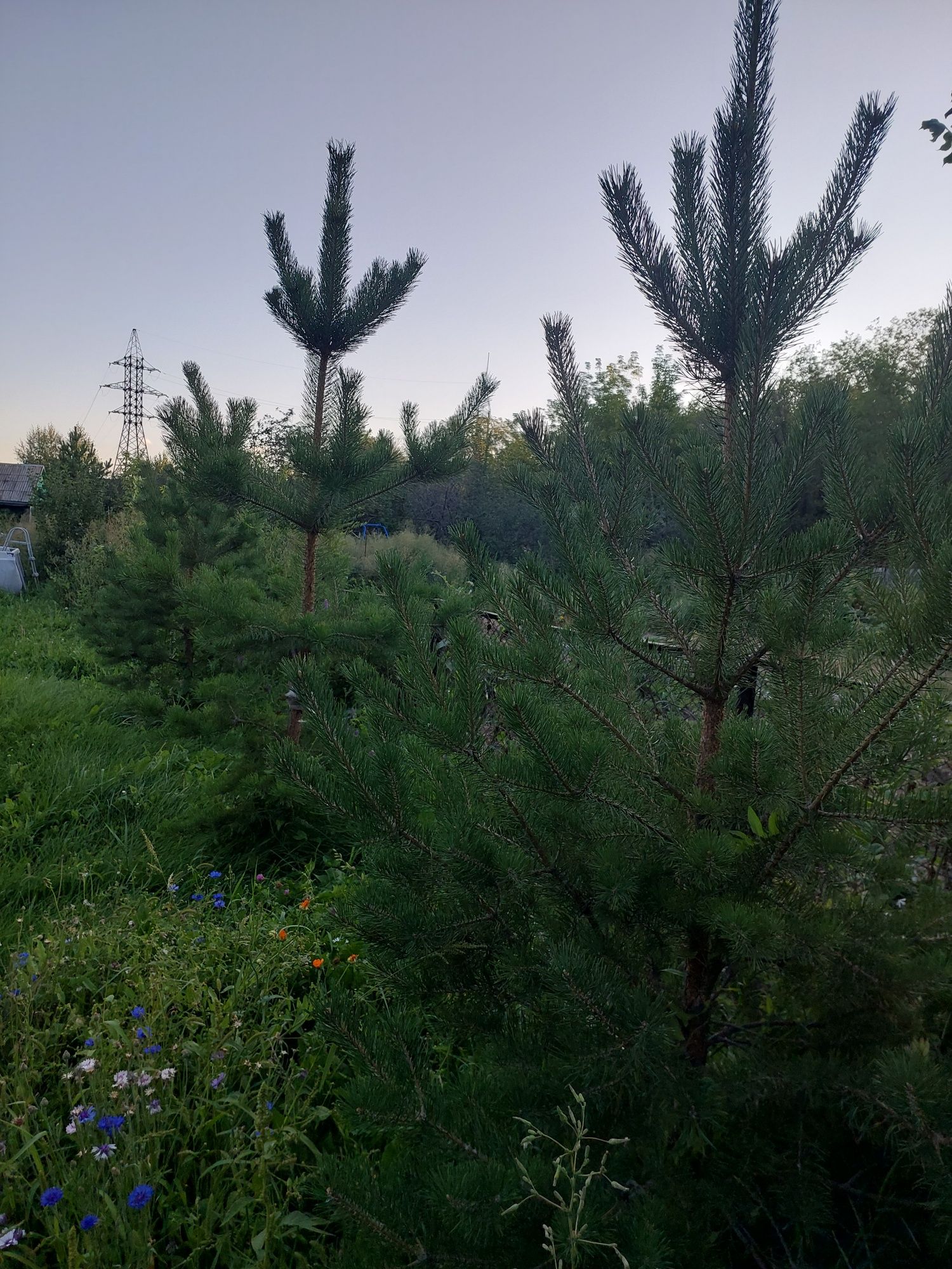 Дача возле озера