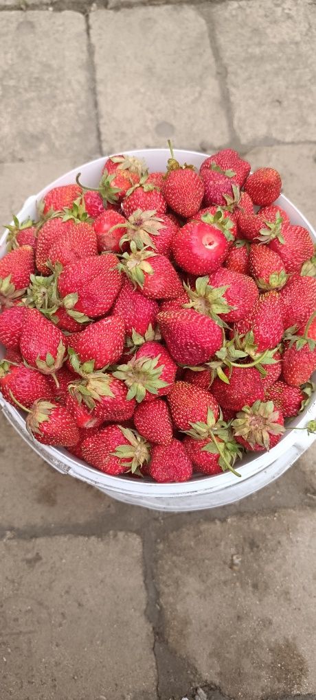 Продам дачу плодородие