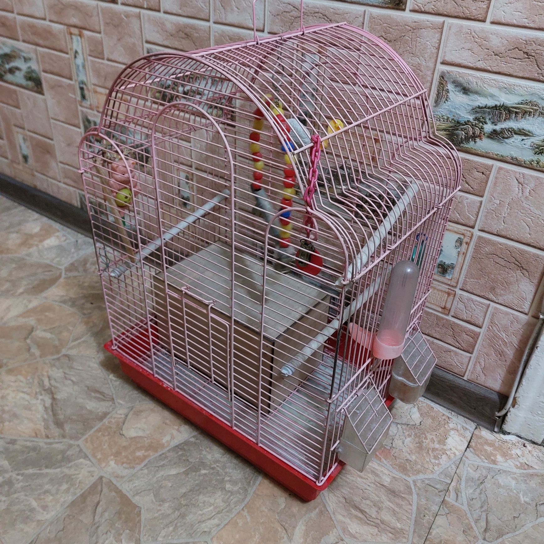 продаю большую клетку