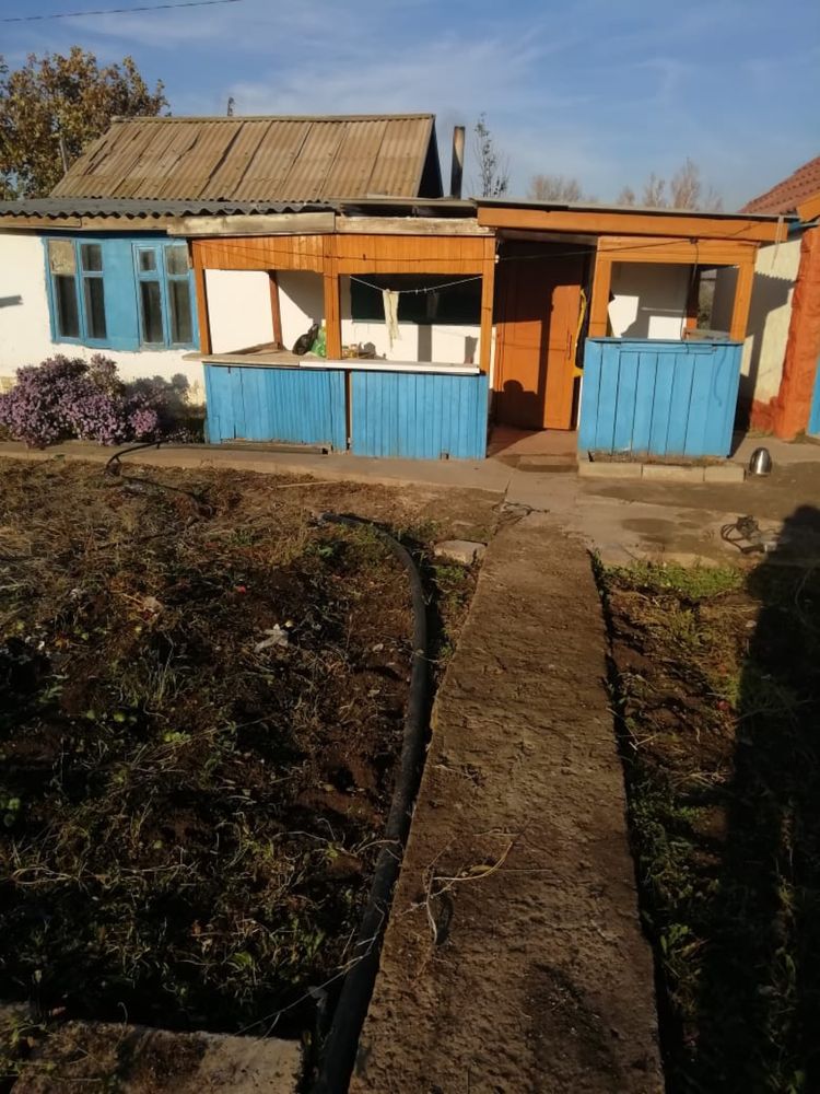 Дача Кардиология