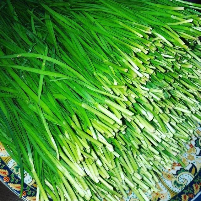 Продам джусай  домашний