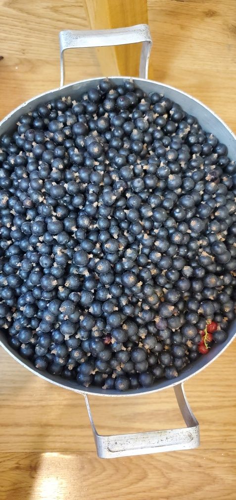 Смородина красная и чёрная замороженнаяженная
