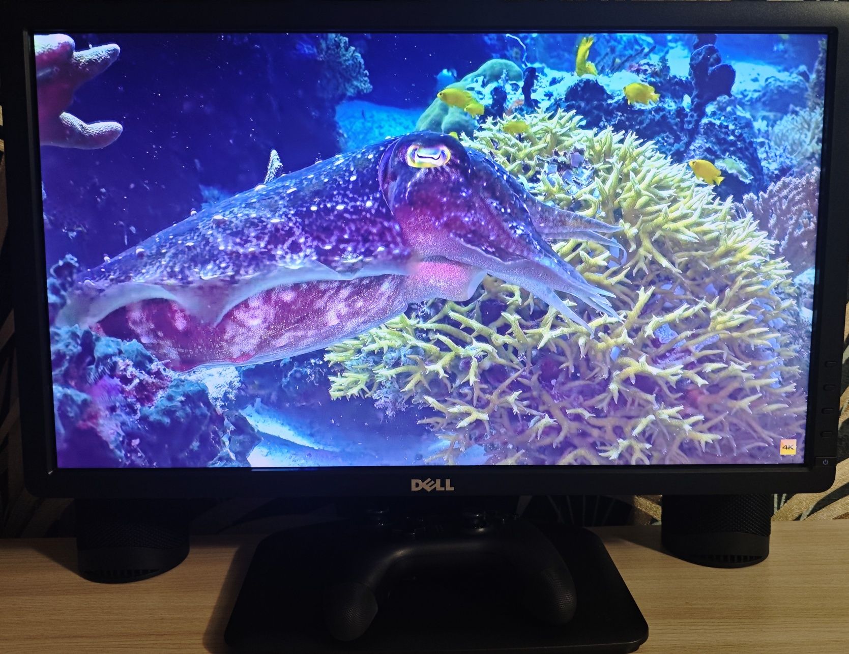 FullHD монитор Dell E2213Hb с диагональю 22 дюйма