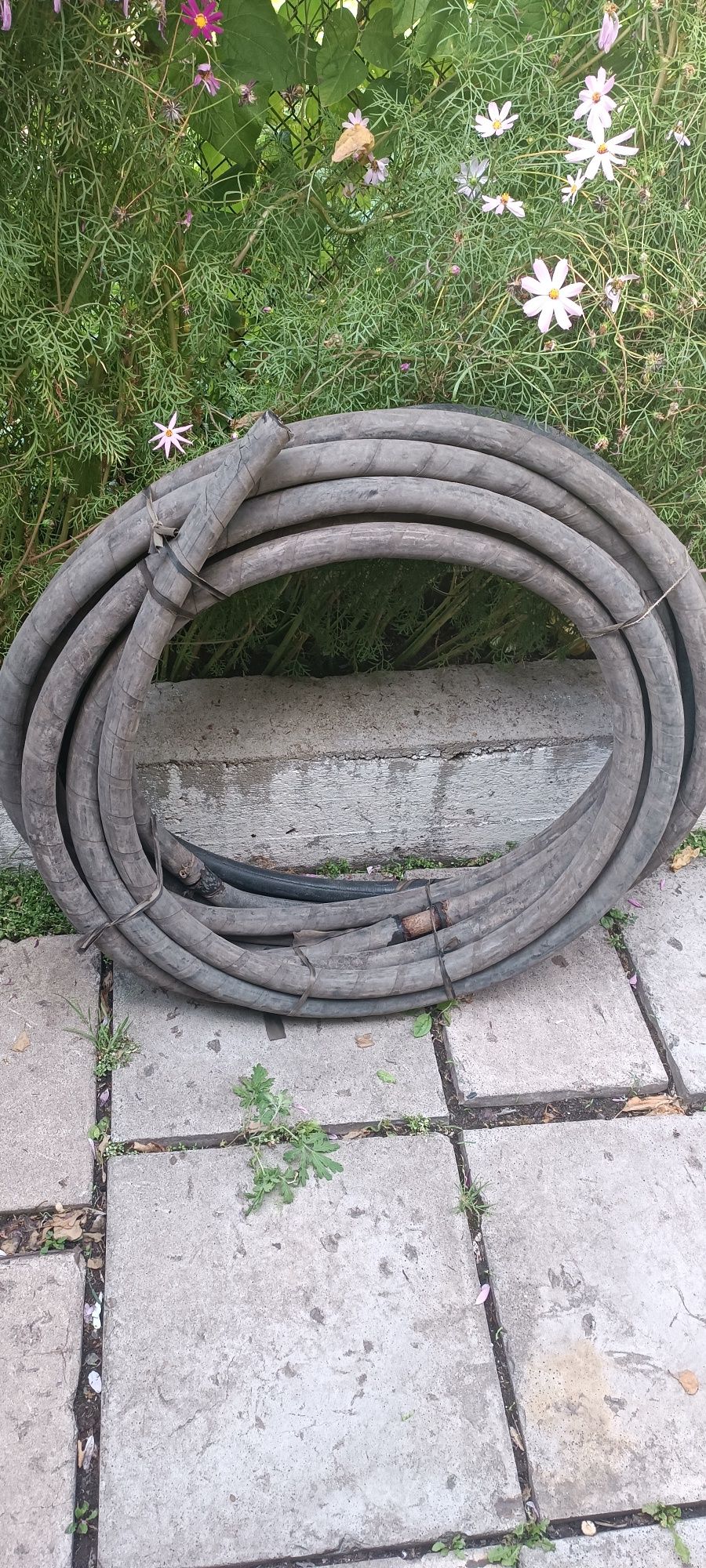 Шланги поливочные