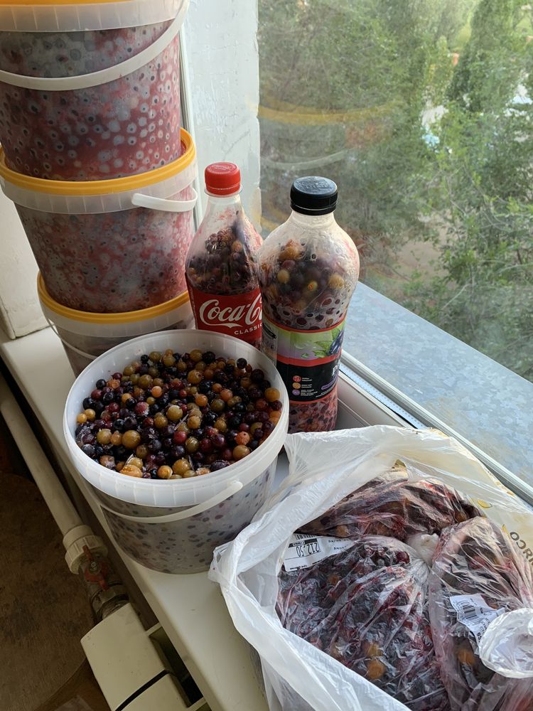 Продам смородину, свежую, замороженная