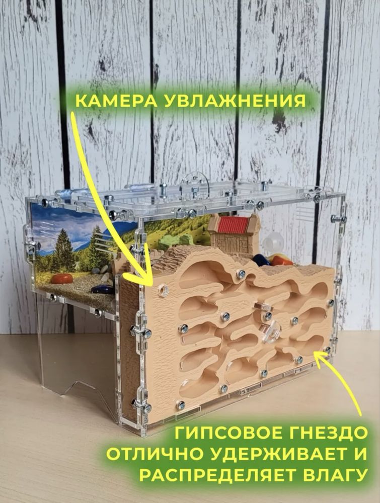 Продам муравьиная ферма Құмырсқа фермасы сатылады