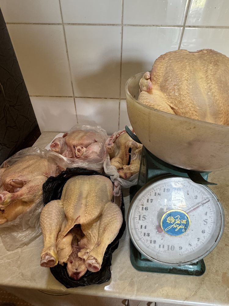 Домашнее мясо курей-бройлеров и гусей