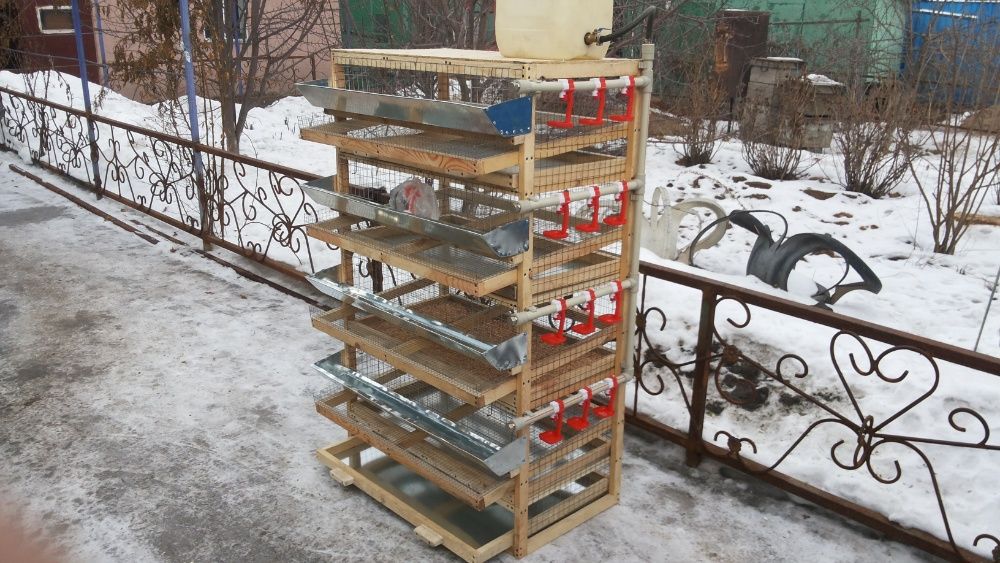 клетка для перепелов на 4 яруса