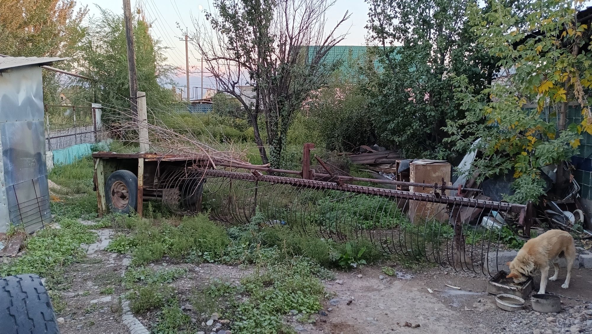 Трактор МТЗ 80. Прицеп. Кара. Грабли для трактора