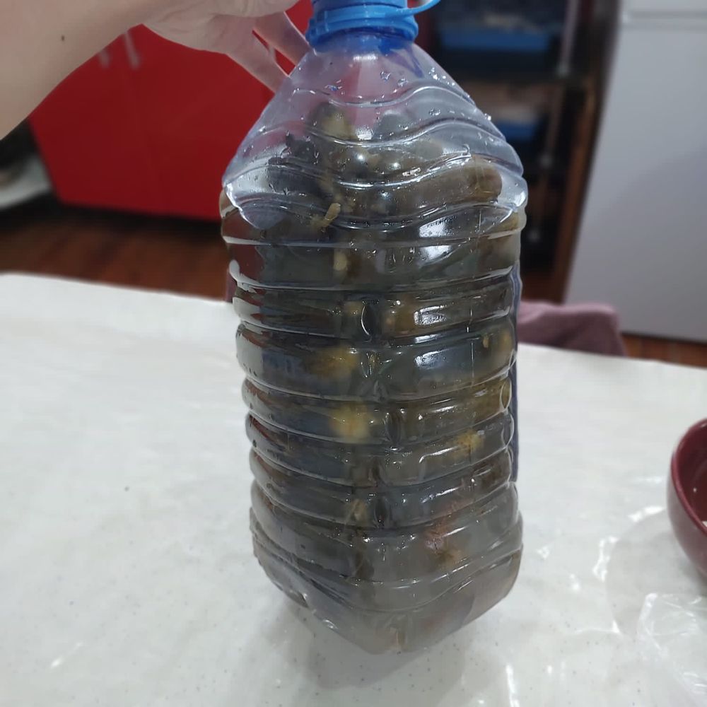Огурцы соленые