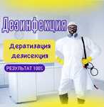 Дезинфекция. Уничтожение клопов и тараканов кандала тышкан мышь