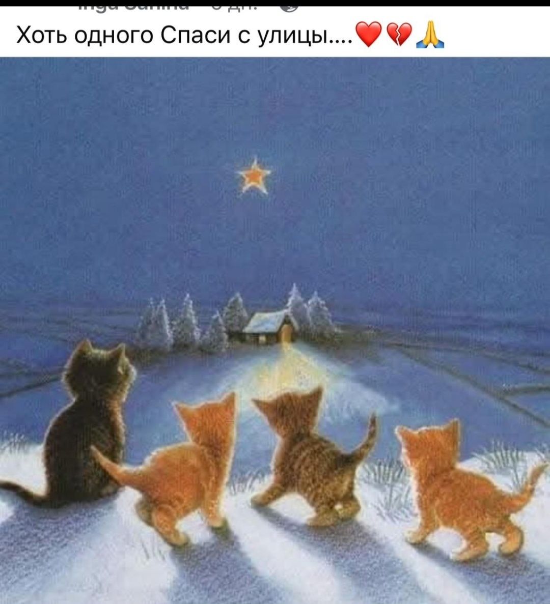 Спасите с отлово породистых и полупородистых животных