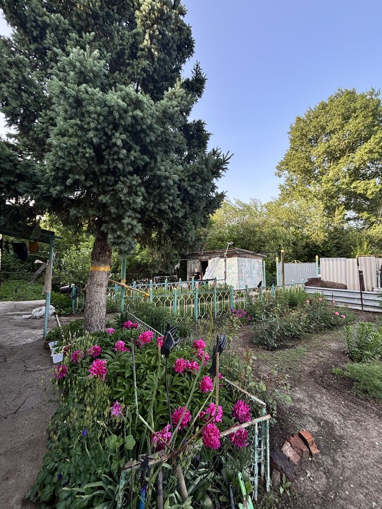 Продам дом 3 комнаты(больша площадь)