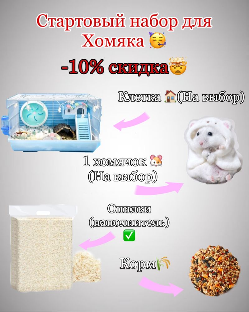 Чистокровные хомяки