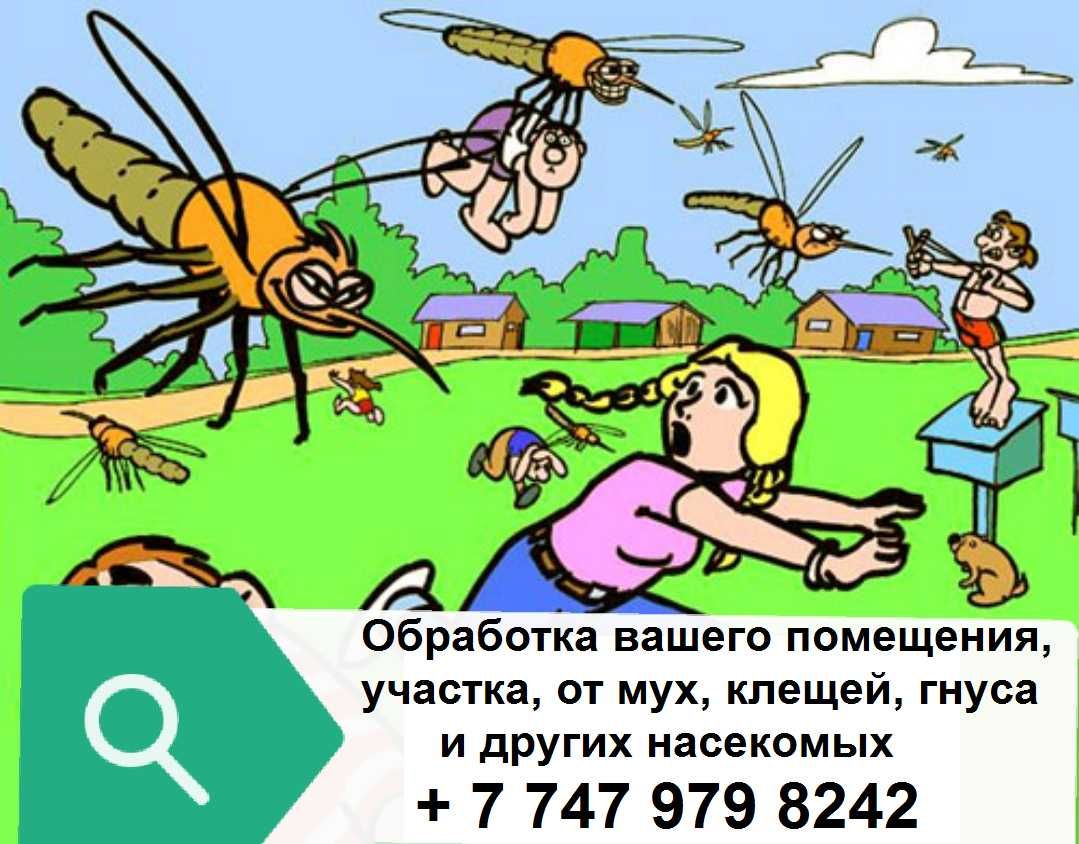 Обработка от тараканов клопов и других вредных насекомых гарантия опыт