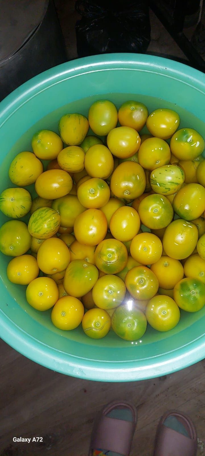 Продаю домашние вкусные соленья, всё с огорода