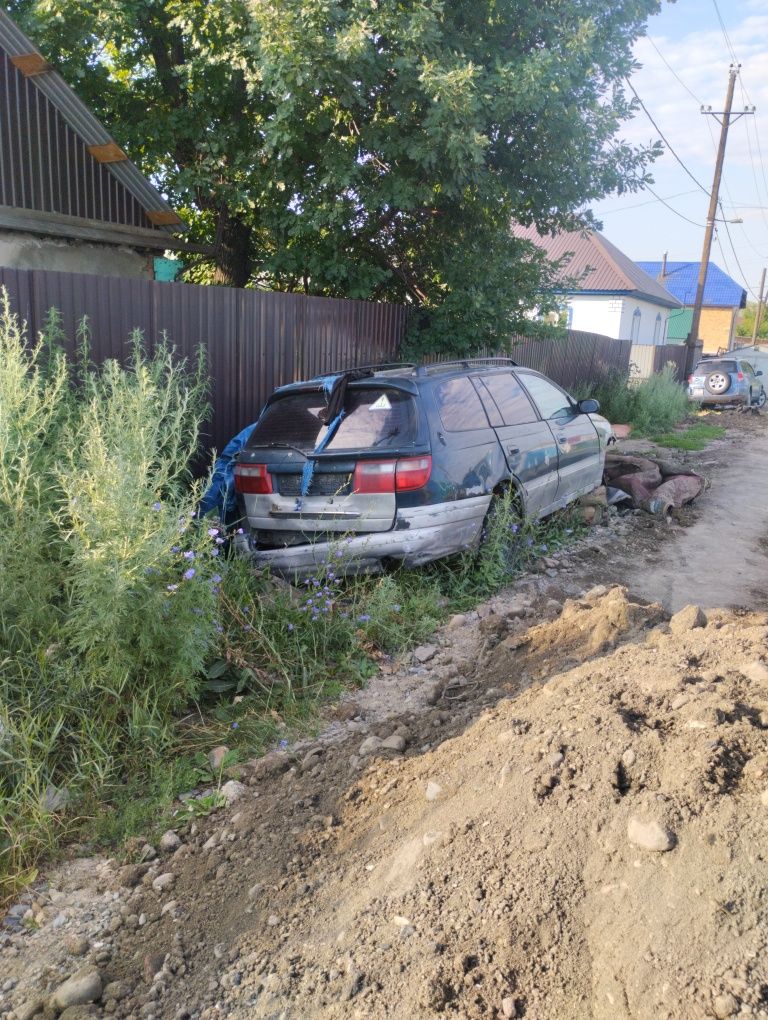 Калдина по кузову