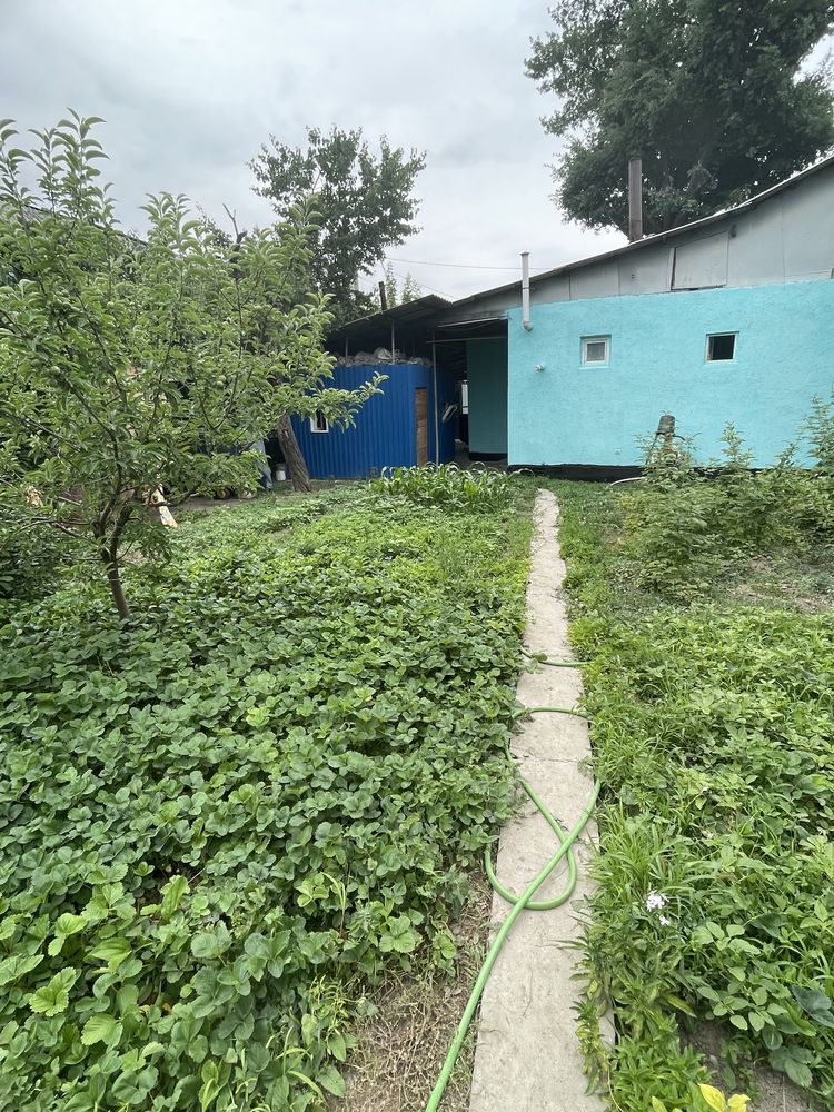 Продам дом в центре