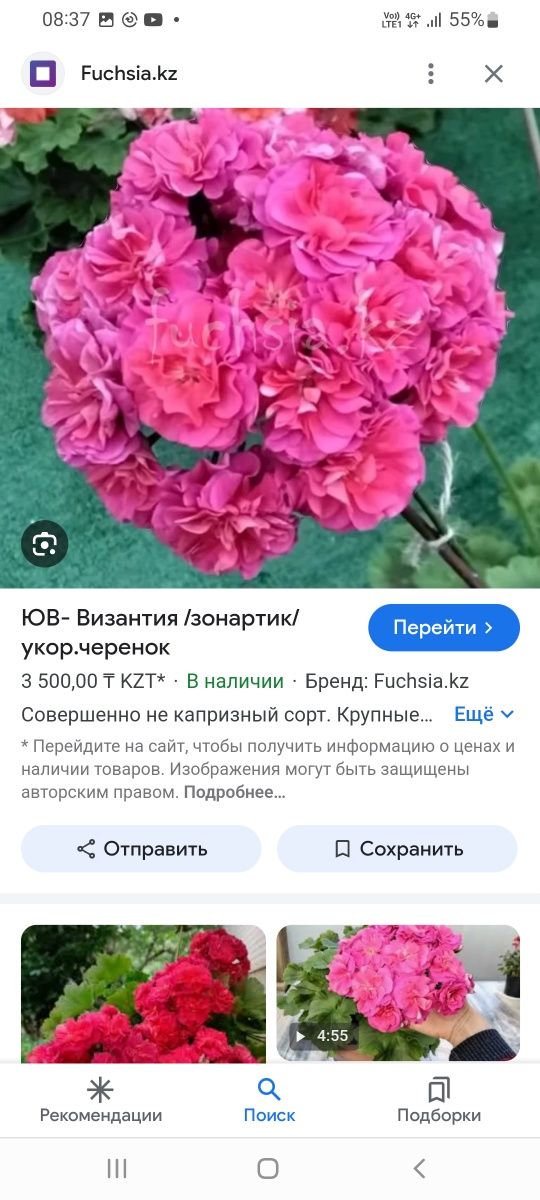 Гортензии  жасмин  пузыреплодник  аконит  гравилат  спиреи  айва  япон