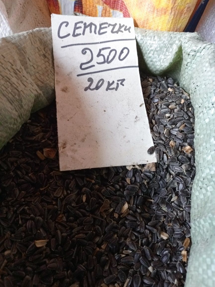 Соль лизунец Костанай