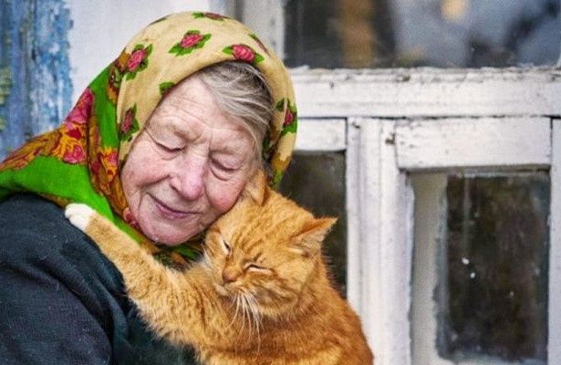 ЛУЧШИЕ кошки Кокшетау !