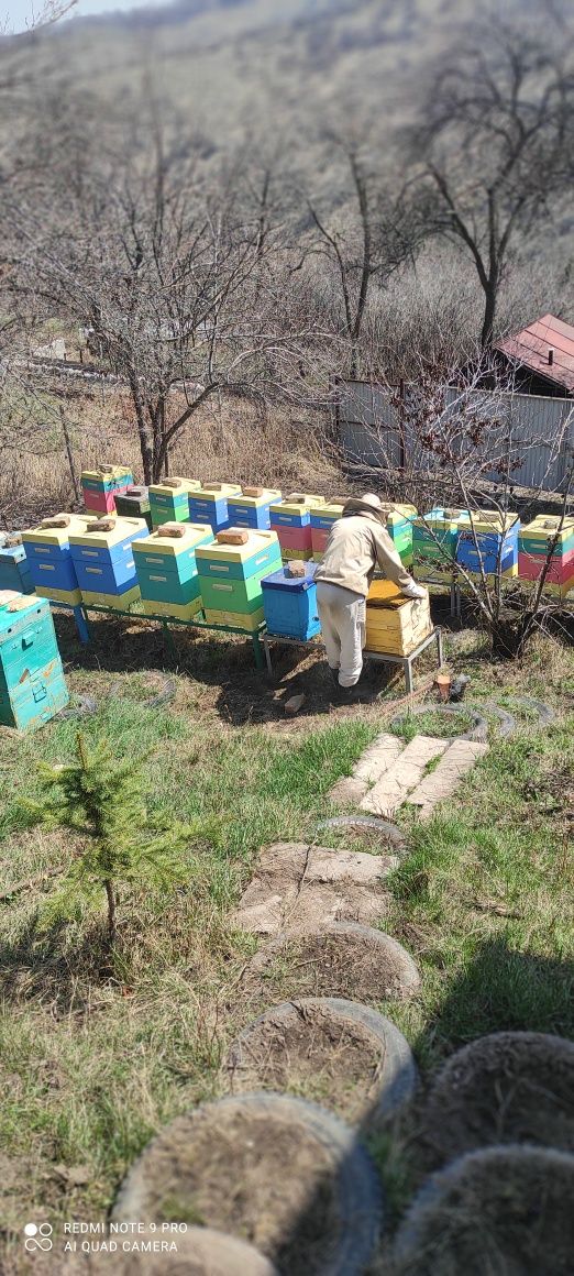 Продам мёд со своей пасики, натуральный
