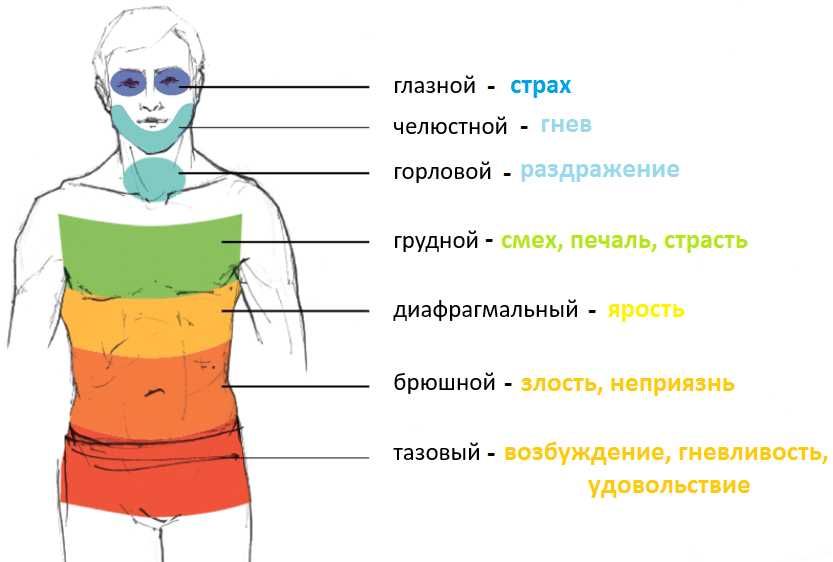 Архитектура тела. Снятие блоков и зажимов.