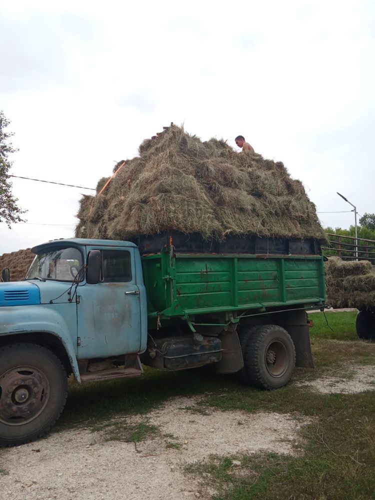 Продам сено в квадратных тюках