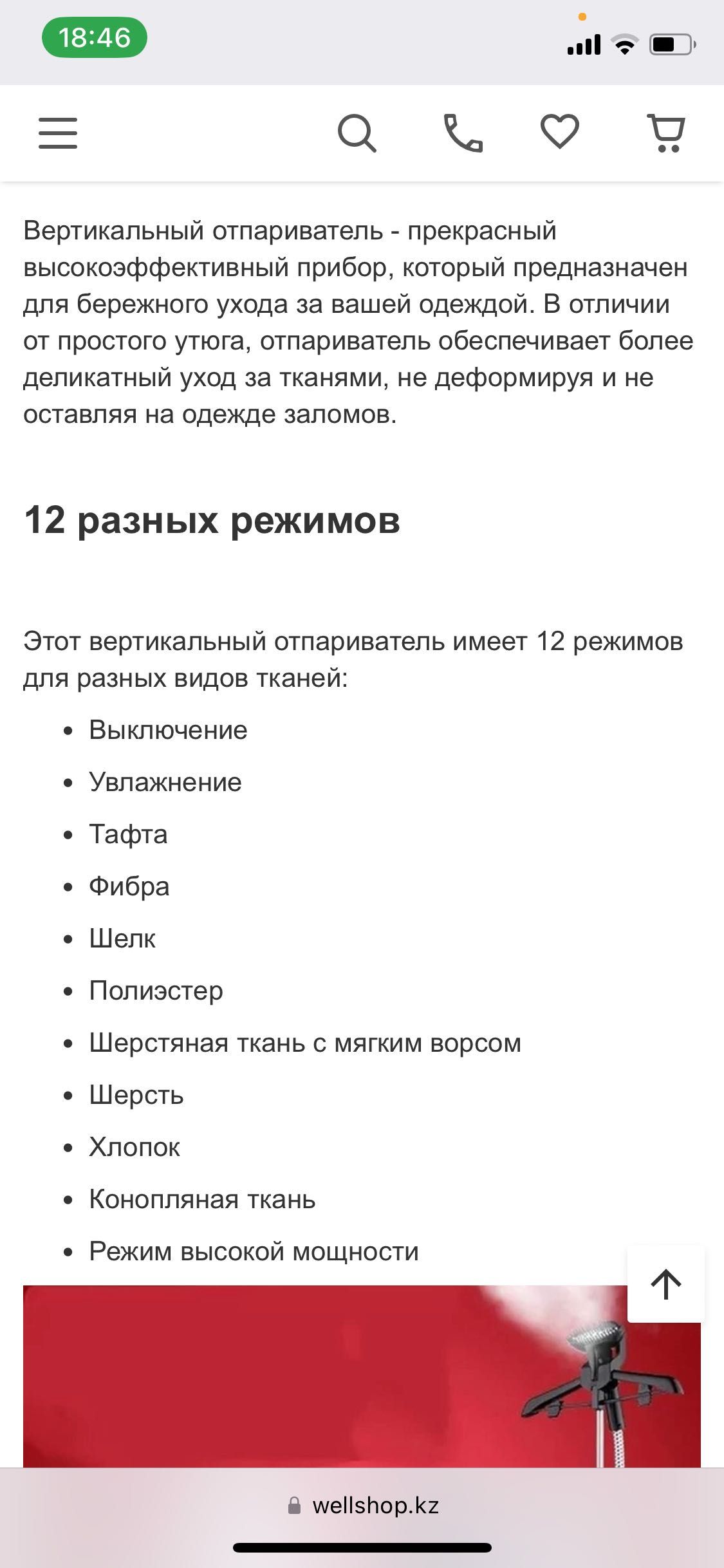вертикальный отпариватель