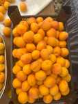Абрикос вкусные домашние продам