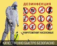 Дезенфекция, уничтожение клопов