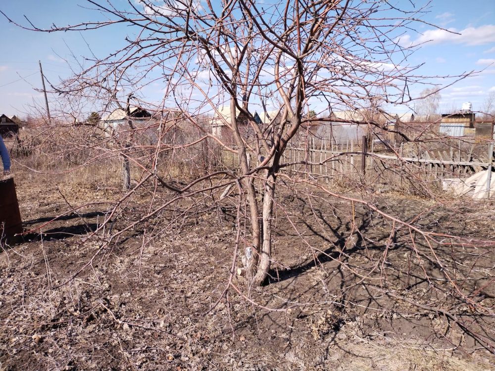 Продам хороший дачный участок