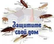 ДЕЗИНФЕКЦИЯ  УНИЧТОЖЕНИЕ  Клопов тараканов крыс блох мышей клещ