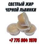 Чёрная львинка жир