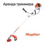 Аренда Триммер инструмента бензиновый 4000