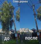 Спил и Обрезка дерева. Агаш кесу