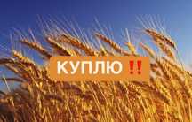 Пшеница 3.4.5 класс не класска