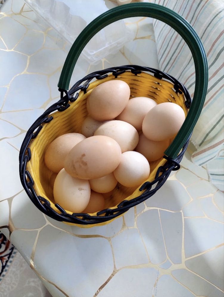 Продам  свежие домашние яйца!