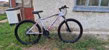 Flying pigeon ax720