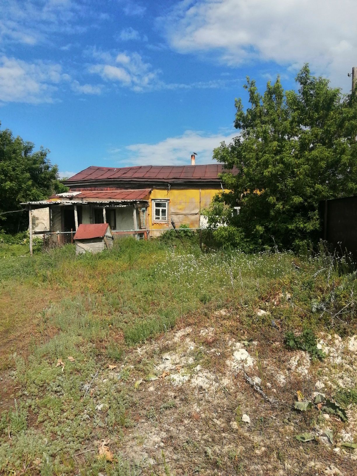 Продам землю в Родниковке